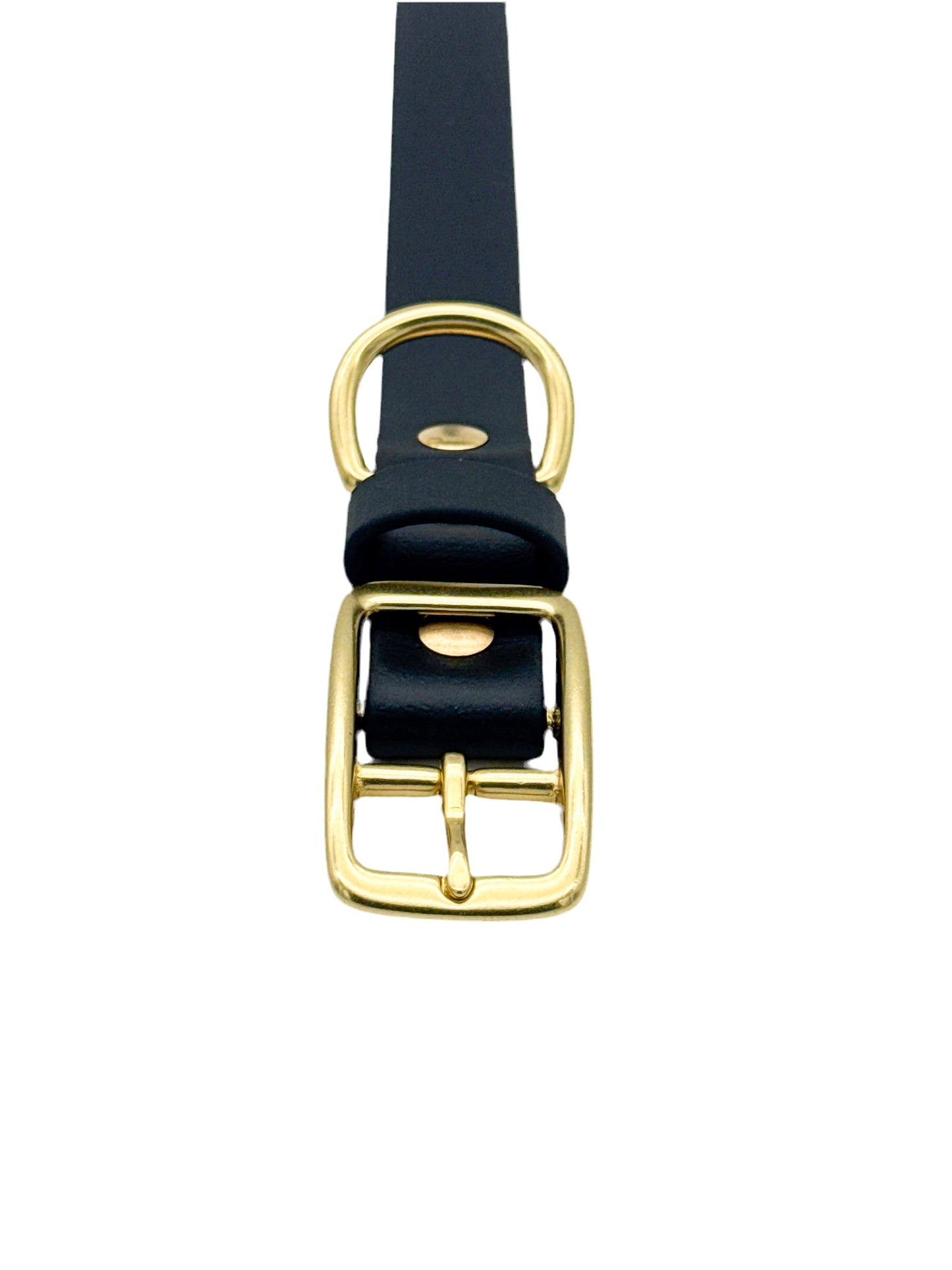 Traditional Dog Collar - 1" BioThane® with Brass Hardware