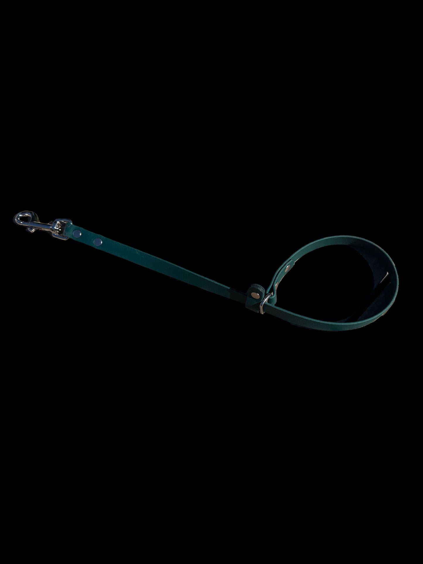 Grooming Slip Lead - 5/8" BioThane®