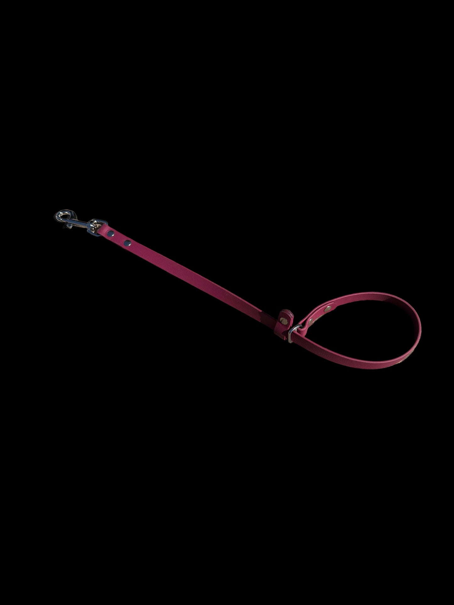 Grooming Slip Lead - 5/8" BioThane®