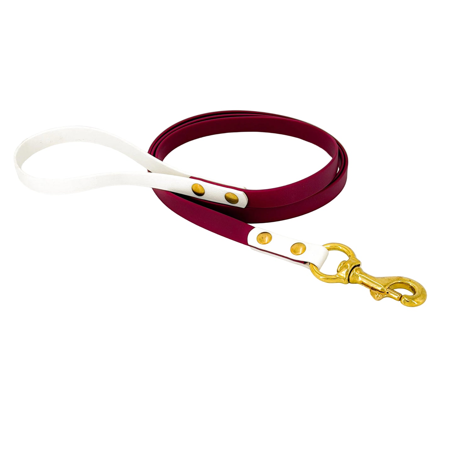 Two-Tone Dog Leash - BioThane® With Brass Hardware