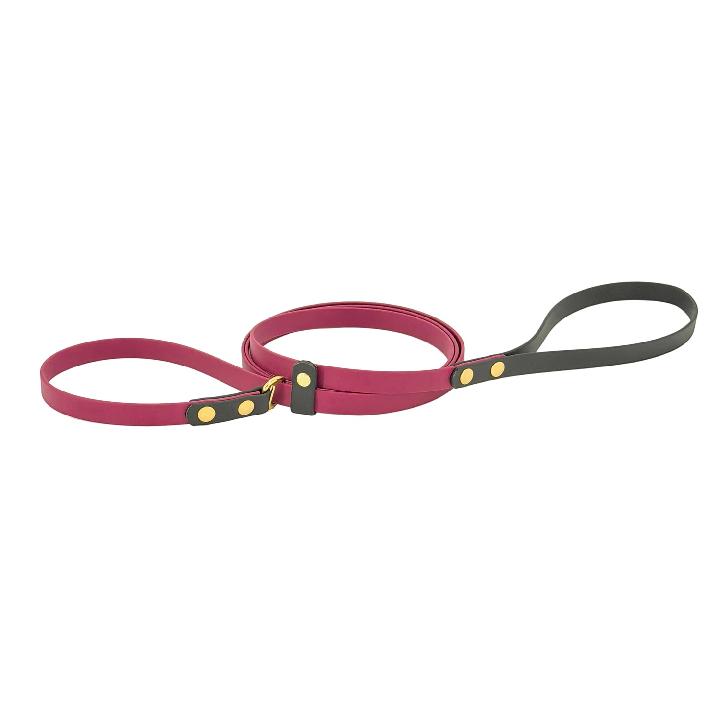 Two-Tone Dog Slip Lead – No-Twist Triglide | BioThane®