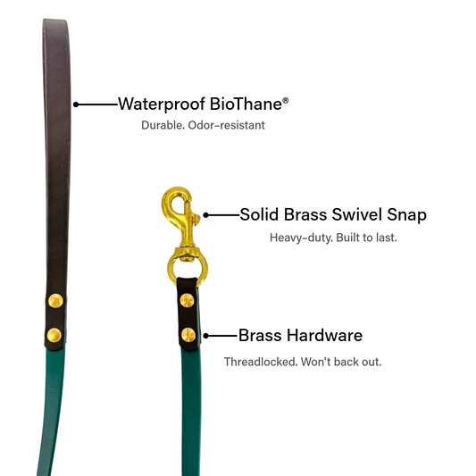 Two-Tone Dog Leash - BioThane® With Brass Hardware