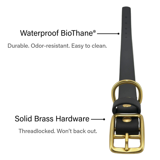 Traditional Dog Collar - BioThane® with Brass Hardware