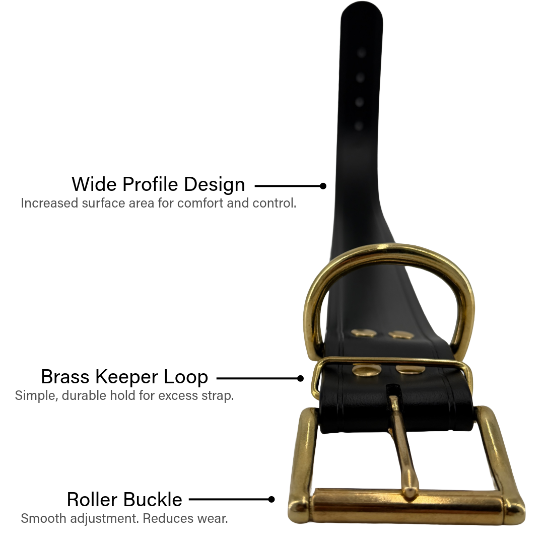 2” Wide Dog Collar – BioThane®