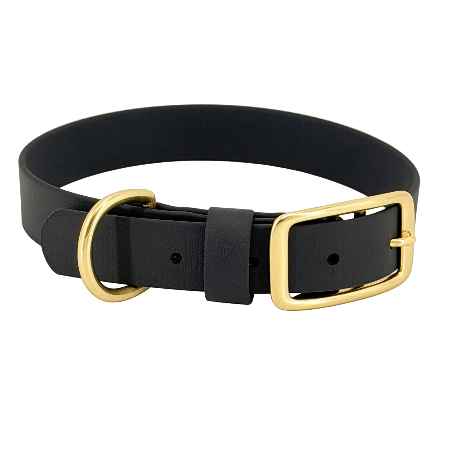 Traditional Dog Collar - BioThane® with Brass Hardware
