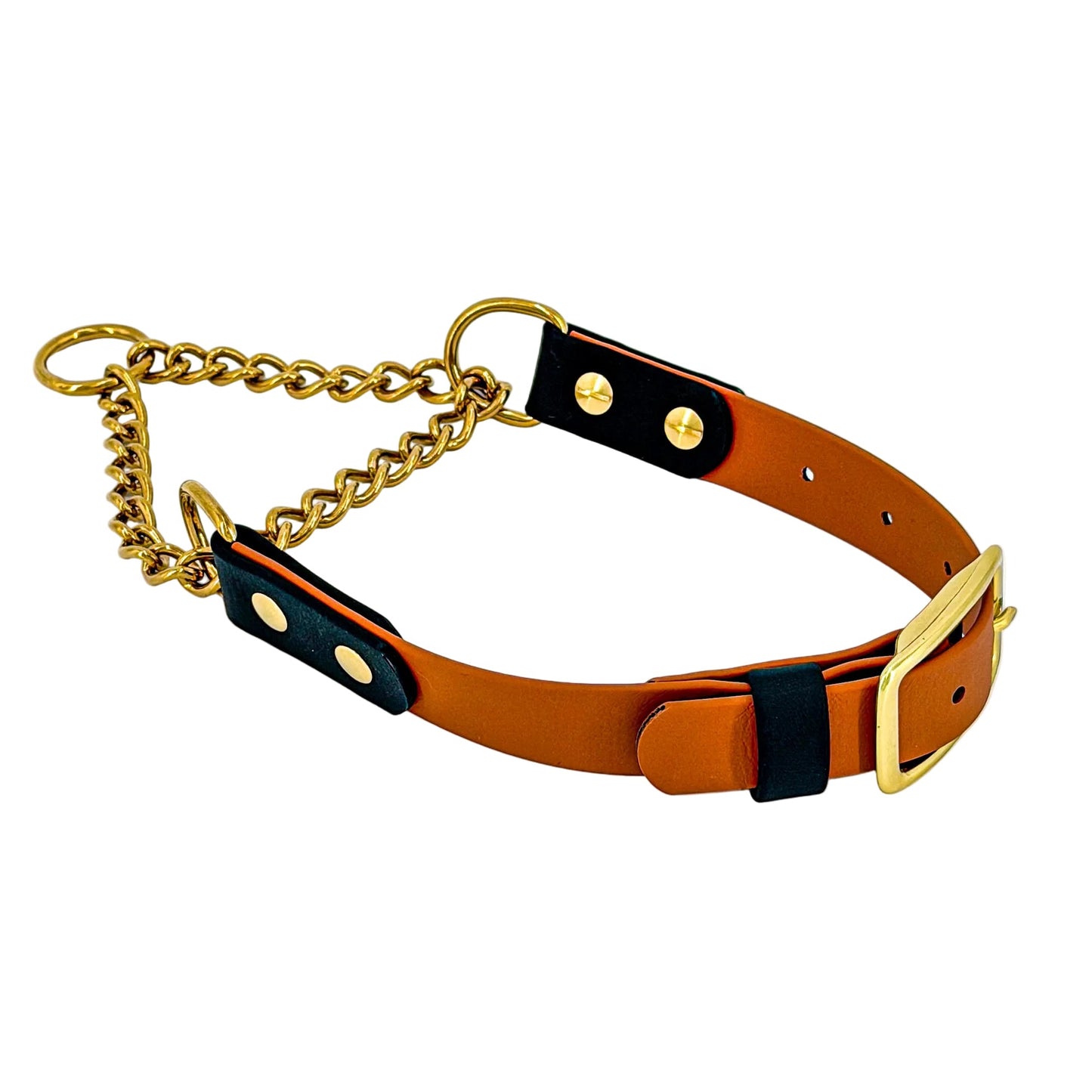 Two-Tone Martingale Dog Collar – BioThane® | Brass Chain