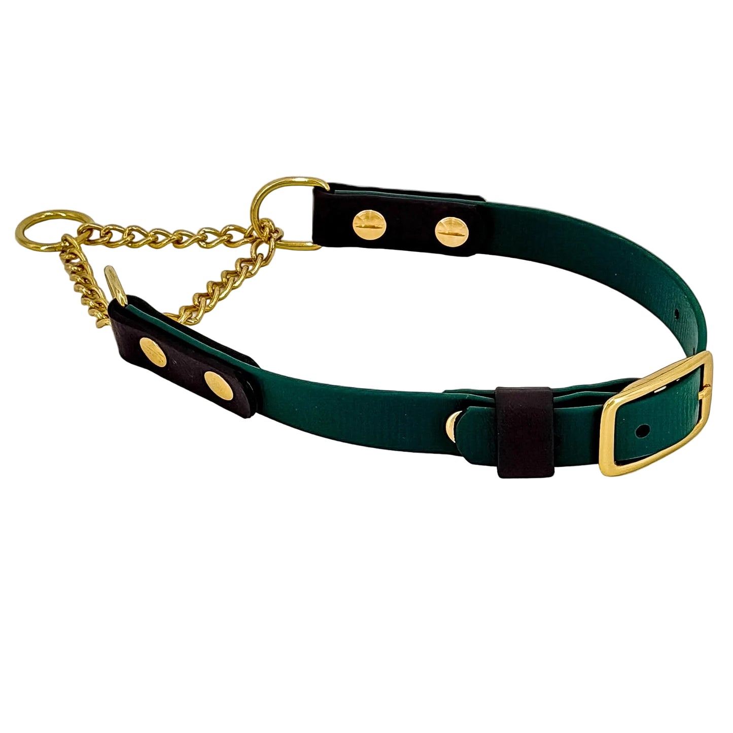 Two-Tone Martingale Dog Collar – BioThane® | Brass Chain