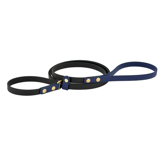Two-Tone Dog Slip Lead – No-Twist Triglide | BioThane®