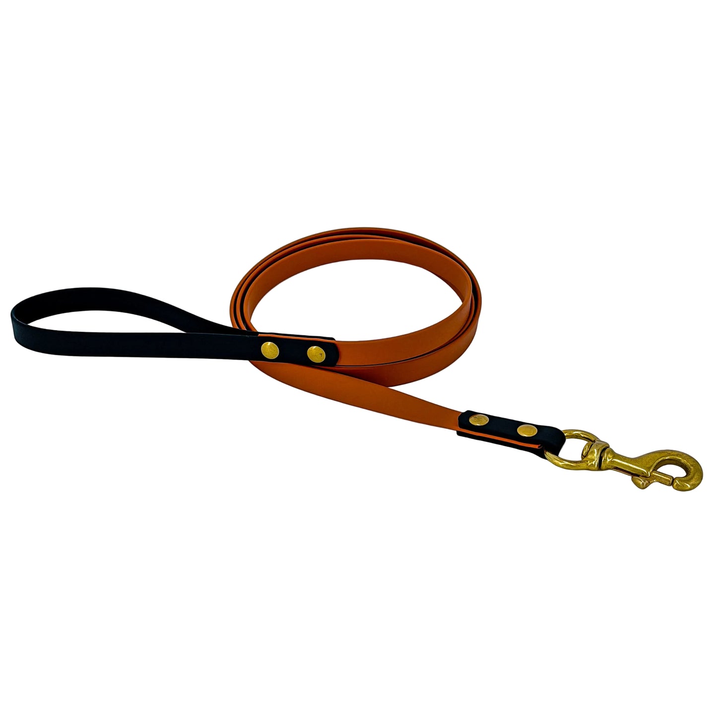 Two-Tone Dog Leash - BioThane® With Brass Hardware