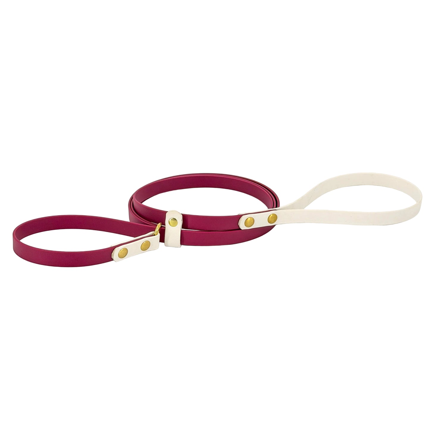 Two-Tone Dog Slip Lead – No-Twist Triglide | BioThane®