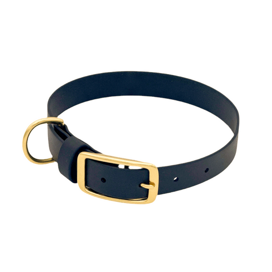 Traditional Dog Collar - BioThane® with Brass Hardware