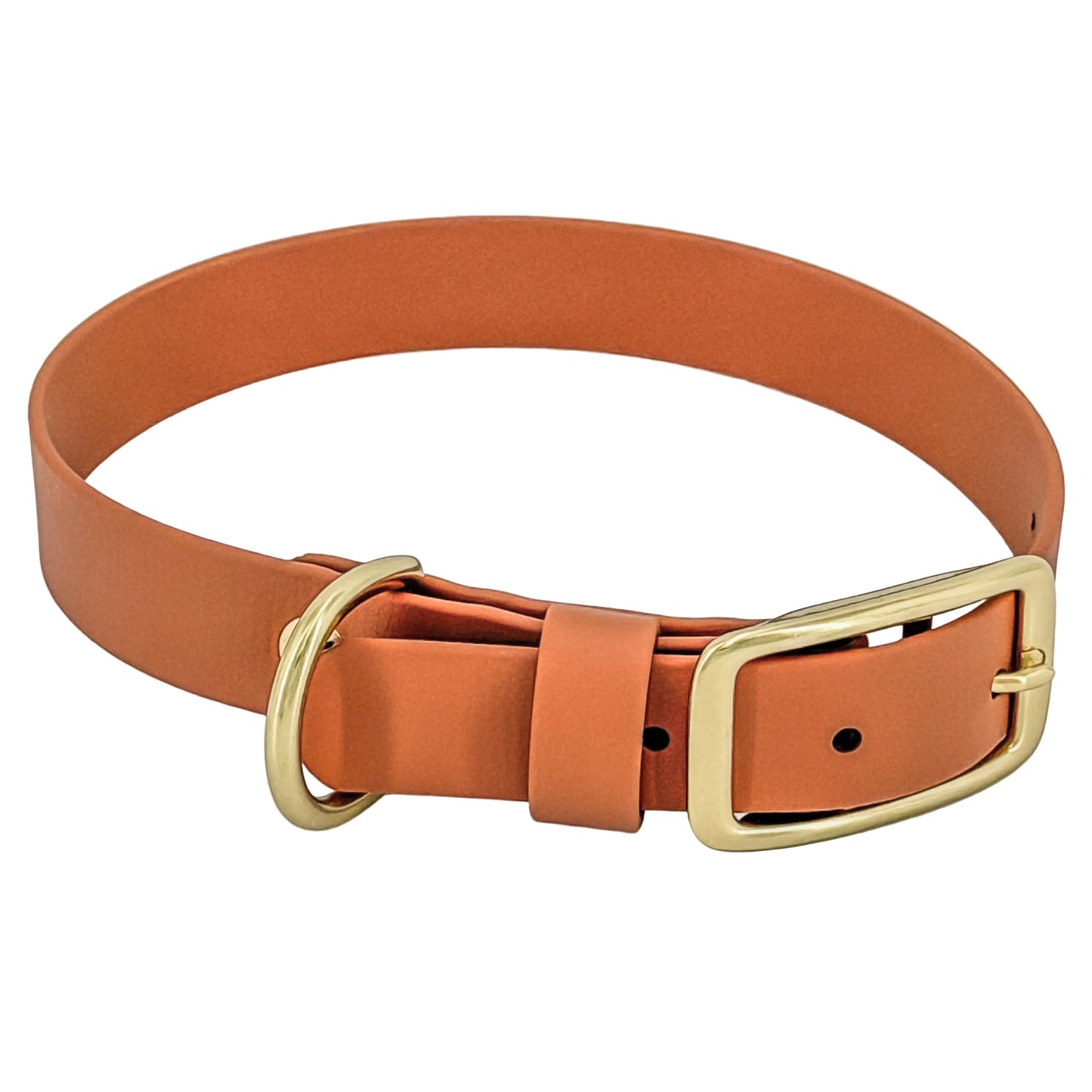 Traditional Dog Collar - BioThane® with Brass Hardware