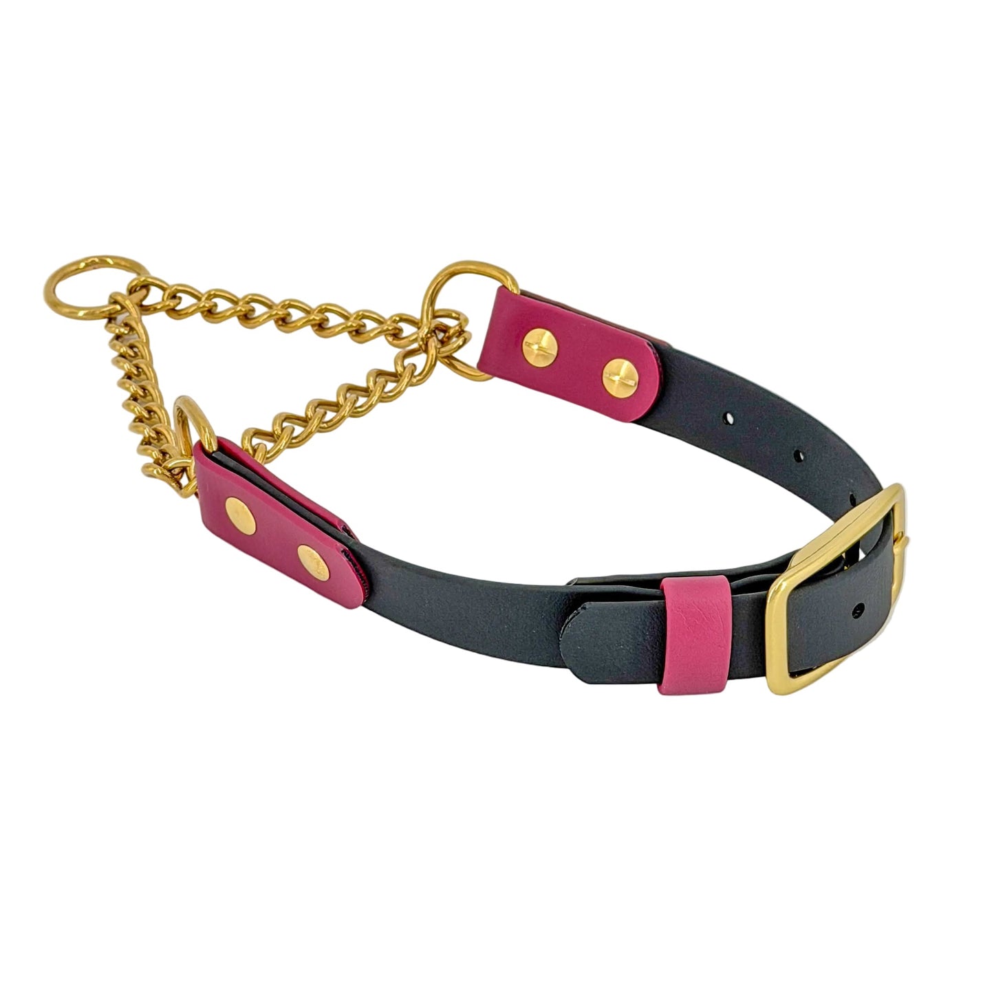 Two-Tone Martingale Dog Collar – BioThane® | Brass Chain