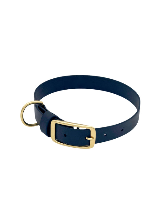 Traditional Dog Collar - 1" BioThane® with Brass Hardware