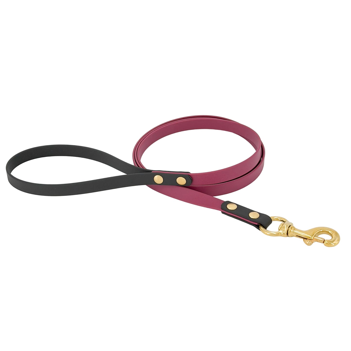 Two-Tone Dog Leash - BioThane® With Brass Hardware