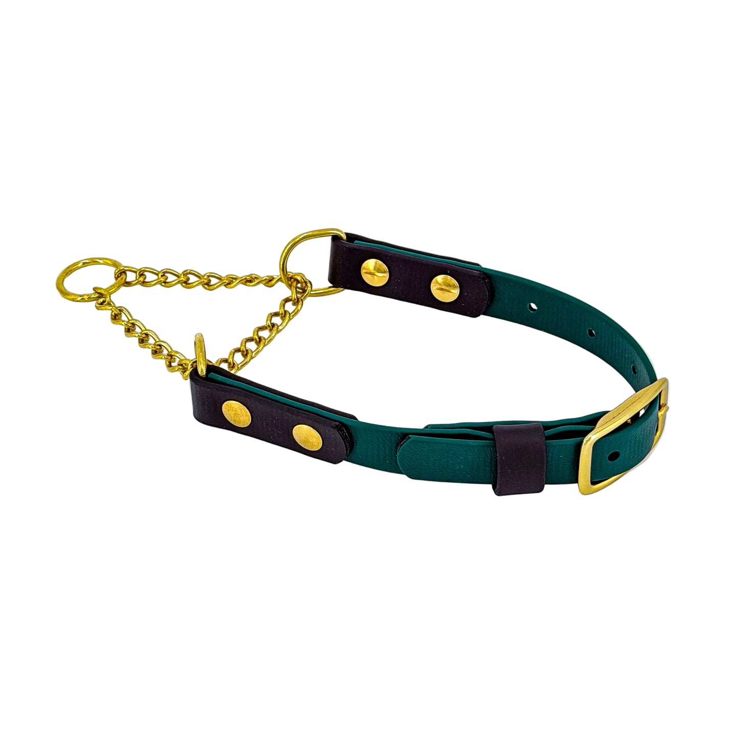 Two-Tone Martingale Dog Collar – BioThane® | Brass Chain