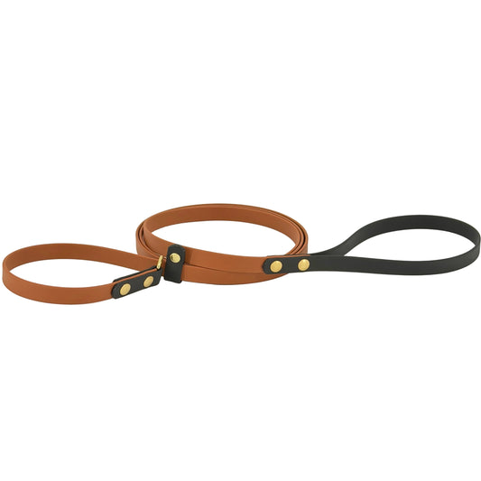 Two-Tone Dog Slip Lead – No-Twist Triglide | BioThane®