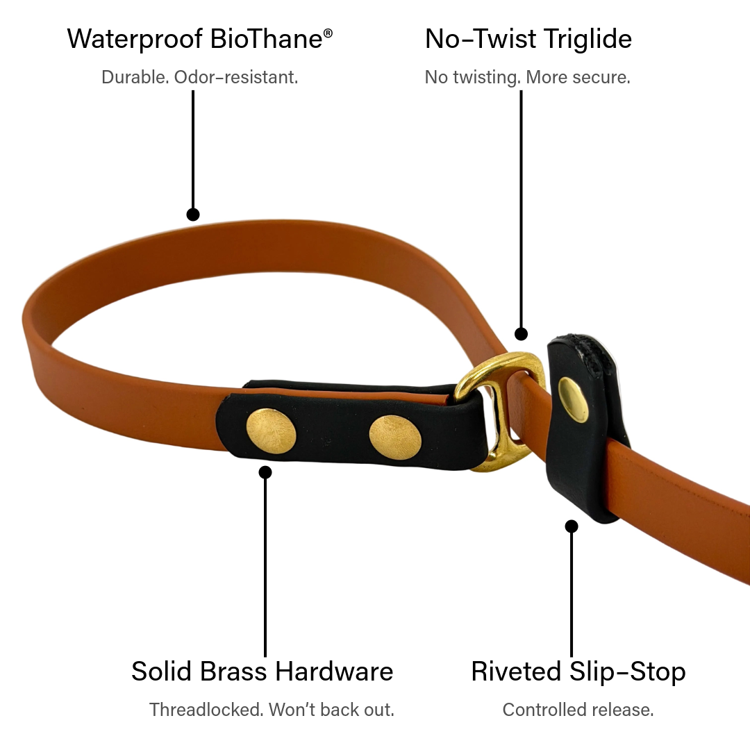 Two-Tone Dog Slip Lead – No-Twist Triglide | BioThane®