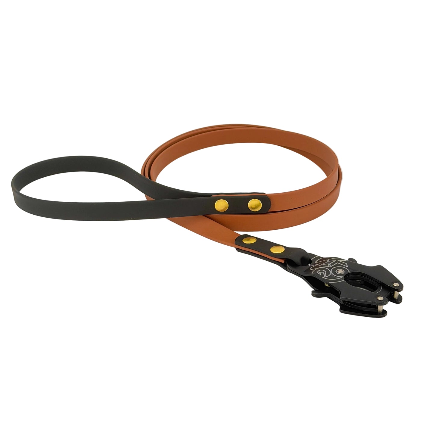 Premium Two-Tone Dog Leash – Original Frog Clip | BioThane®