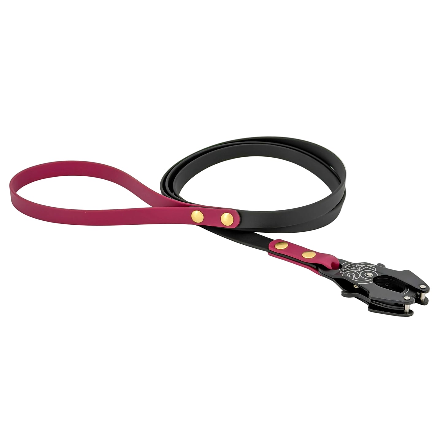 Premium Two-Tone Dog Leash – Original Frog Clip | BioThane®
