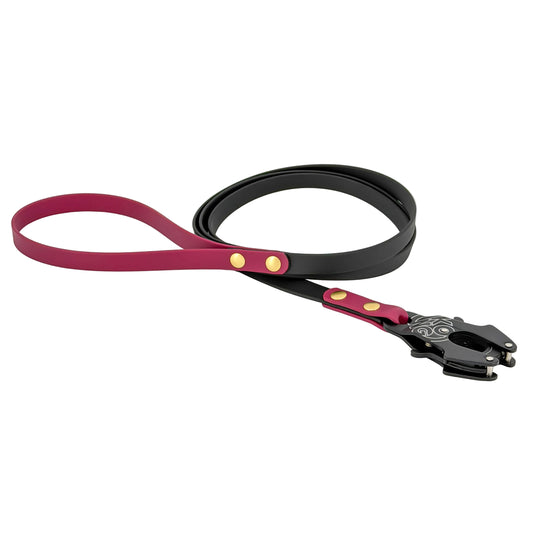 Premium Two-Tone Dog Leash – Original Frog Clip | BioThane®
