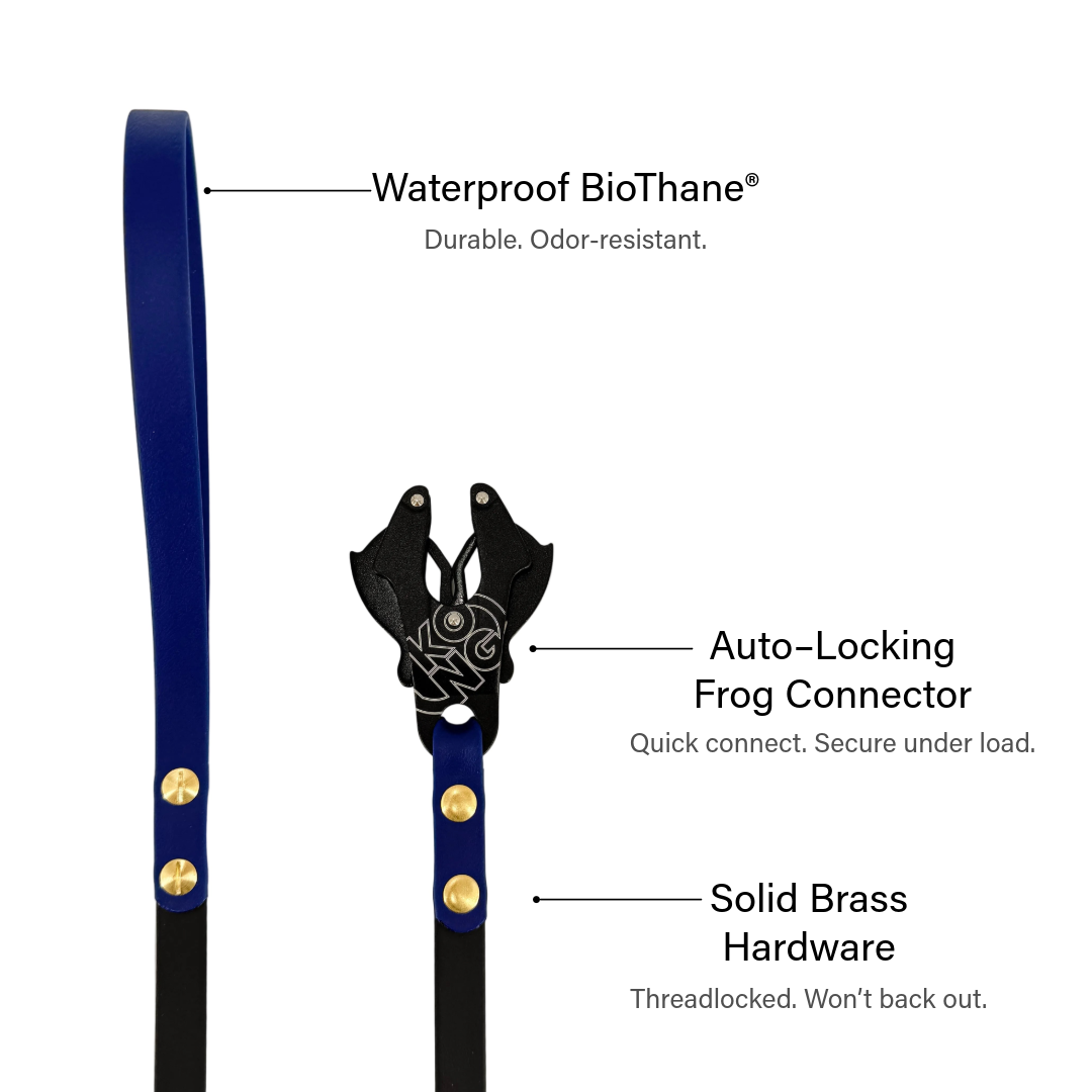 Premium Two-Tone Dog Leash – Original Frog Clip | BioThane®