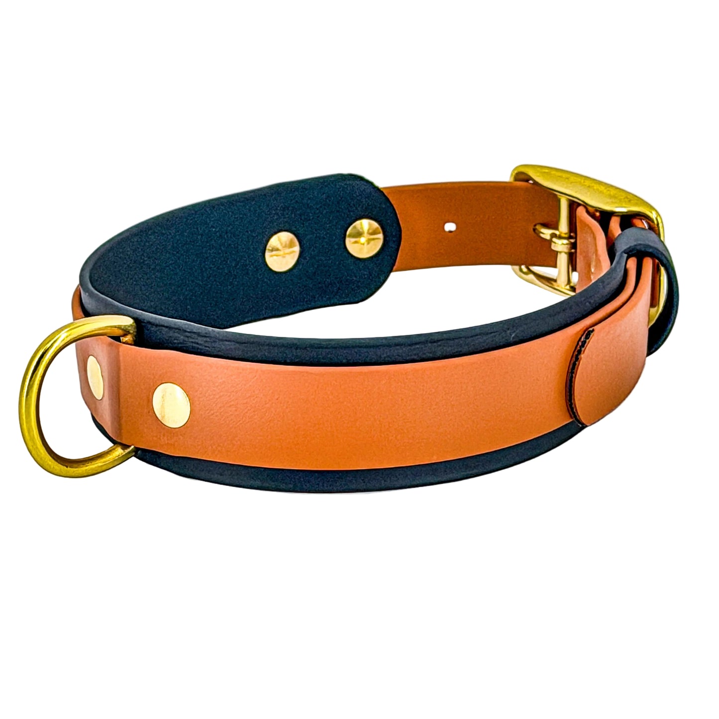 Premium Double Layer Dog Collar – BioThane®