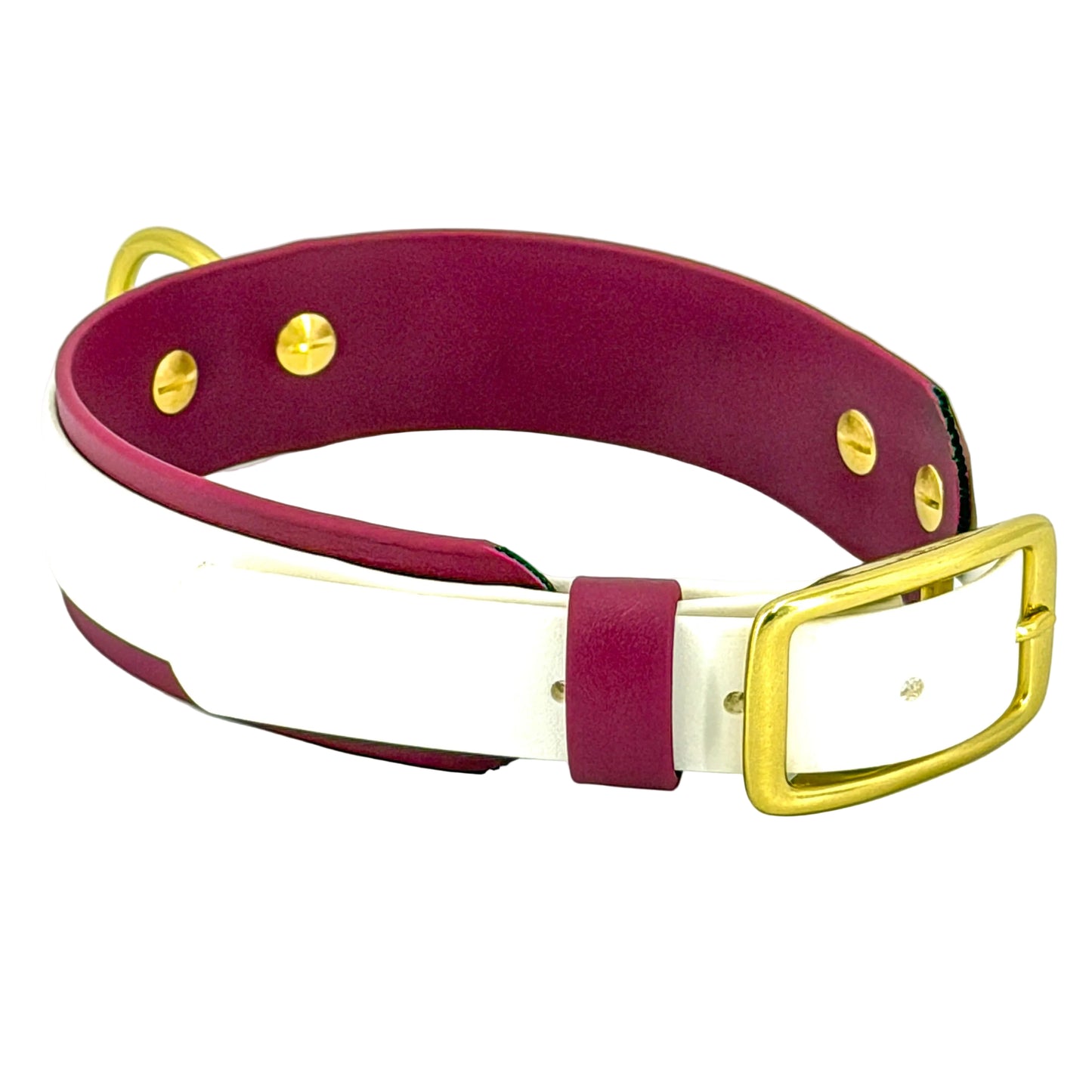 Premium Double Layer Dog Collar – BioThane®