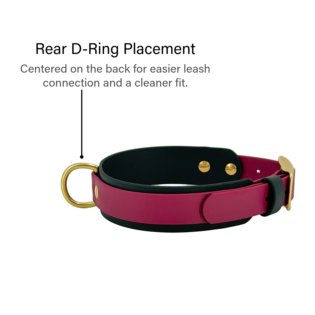 Premium Double Layer Dog Collar – BioThane®