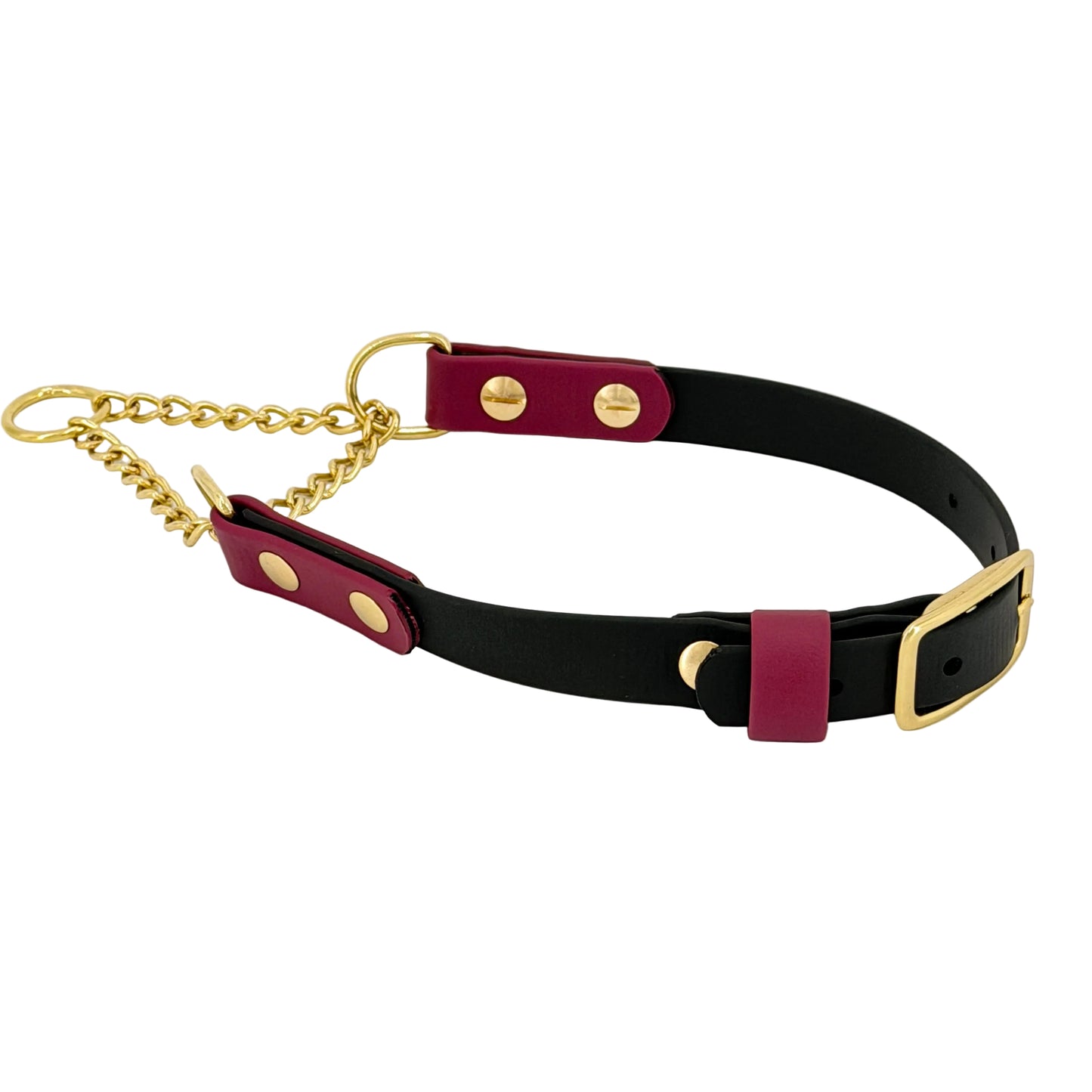 Two-Tone Martingale Dog Collar – BioThane® | Brass Chain