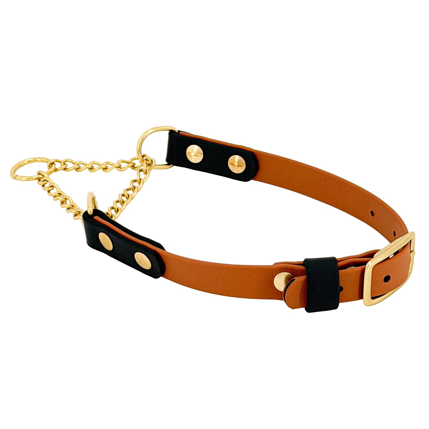 Two-Tone Martingale Dog Collar – BioThane® | Brass Chain