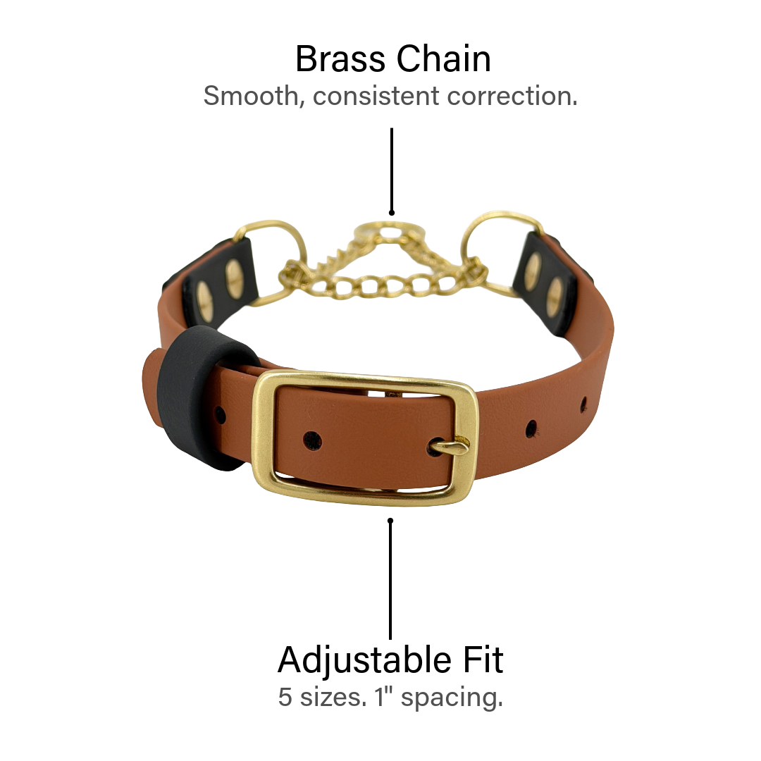 Two-Tone Martingale Dog Collar – BioThane® | Brass Chain