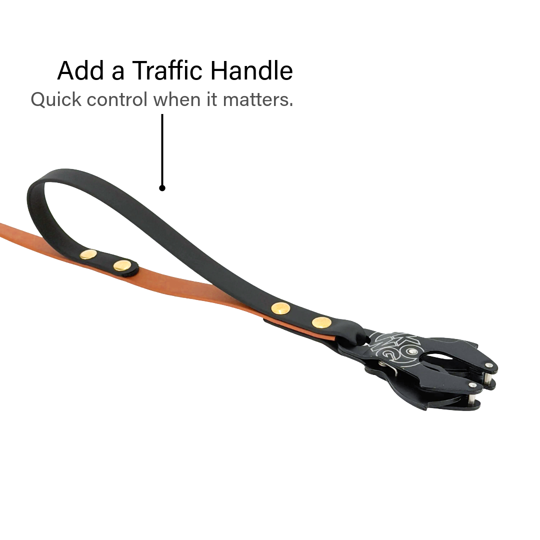 Premium Two-Tone Dog Leash – Original Frog Clip | BioThane®